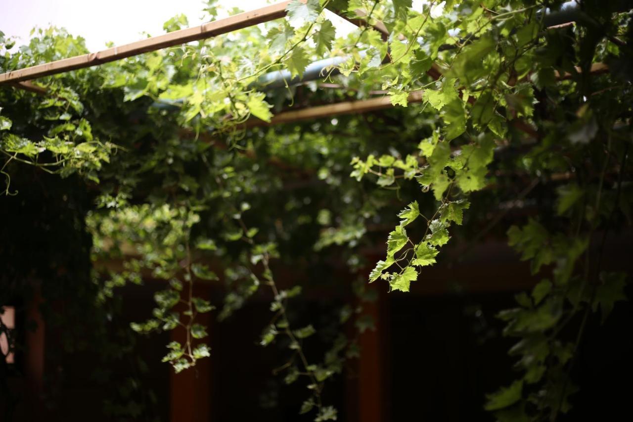 Auberge Jaafar Midelt Zewnętrze zdjęcie